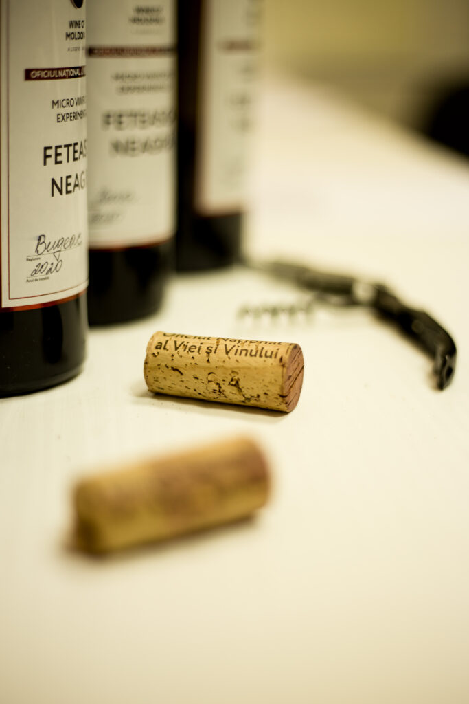 ATELIER DE LUCRU organizat de I.P. „ONVV”