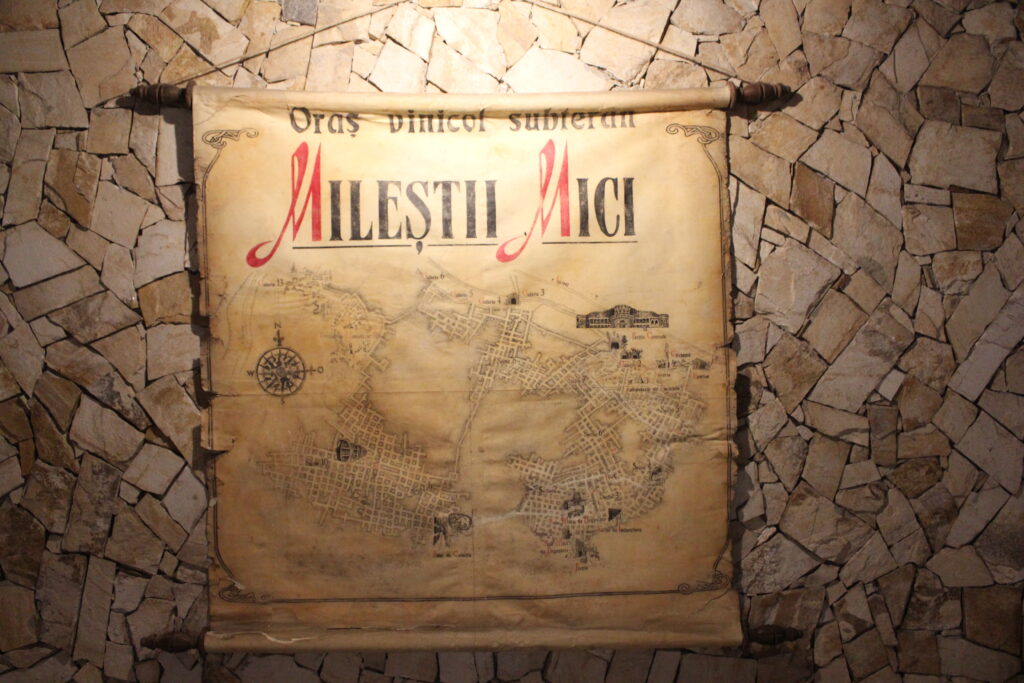 Vizită de lucru la Combinatul de Vinuri de Calitate „Mileștii Mici”