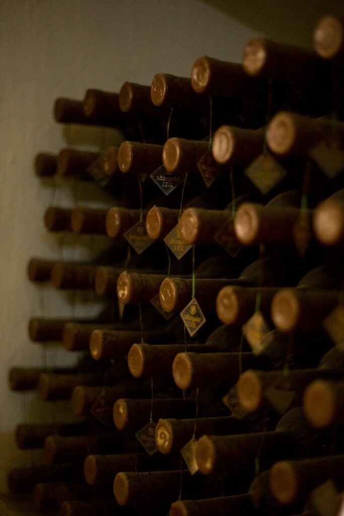 Vizită de studiu la Combinatul de Vinuri „CRICOVA” S.A.